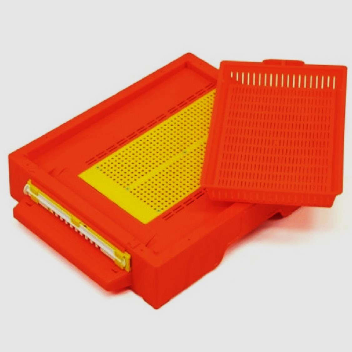 fund-plastic-anti-varroa-cu-colector-de-polen 2